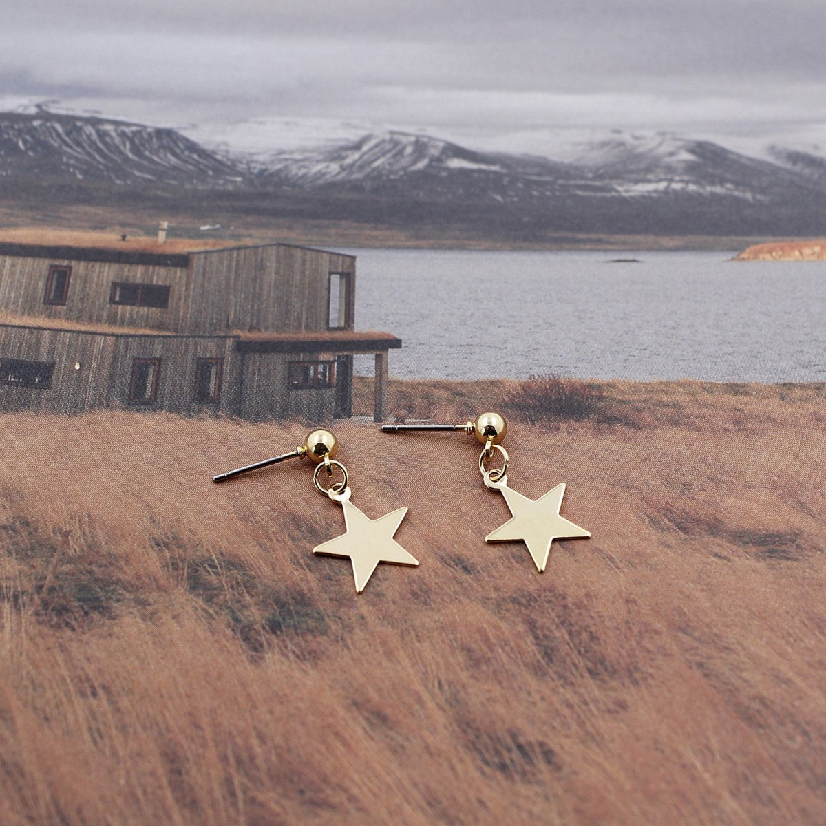 (imagen de) Pendientes colgantes de aleación con estrella - dorado y plateado